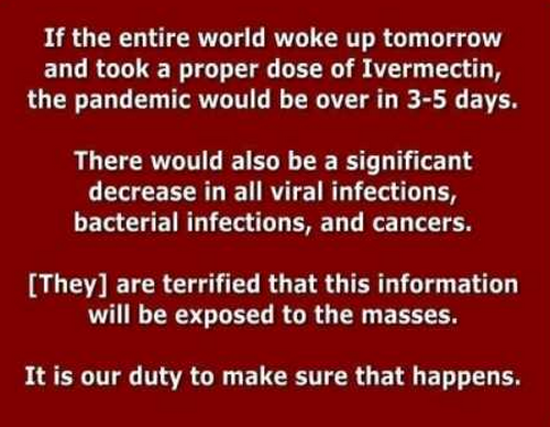 if the entire world woke up tommorrow 812349471239057959845