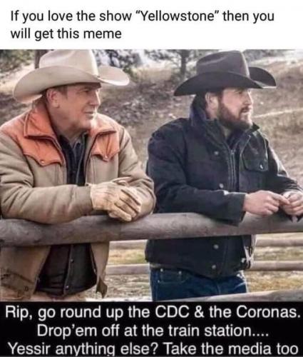 roundup