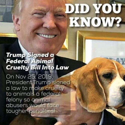 img - 2020-12-15T220536.978