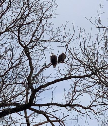 24256928-B131-40B1-88E7-318A1A024844