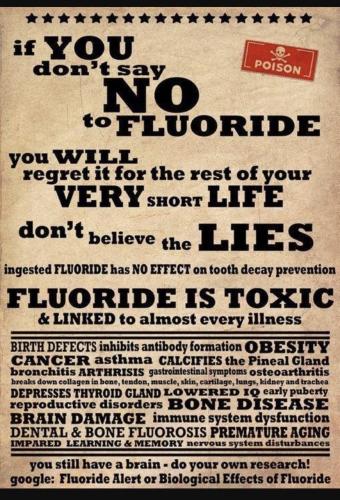 photo_2021-09-28_07-37-03