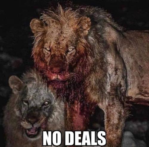 5B13E0DB-B0AF-43D5-AEC1-FC5AD53F805C