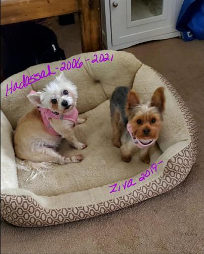 Screenshot_20210908-163052_Gallery