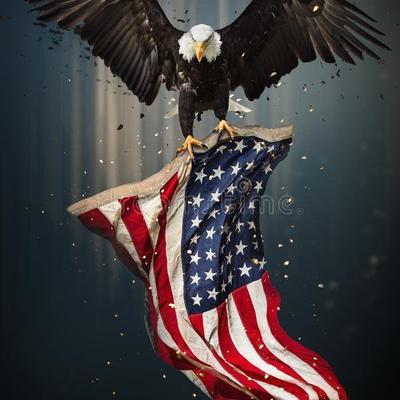 75097657-7227-469E-B1A8-00F322F664C6