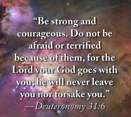 21D9FE0E-1CDD-4911-A957-2120ACBB3B18