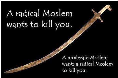 12065927_10208000811608884_3834062845862165278_n