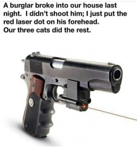 Screenshot_20210211-202001_MeWe