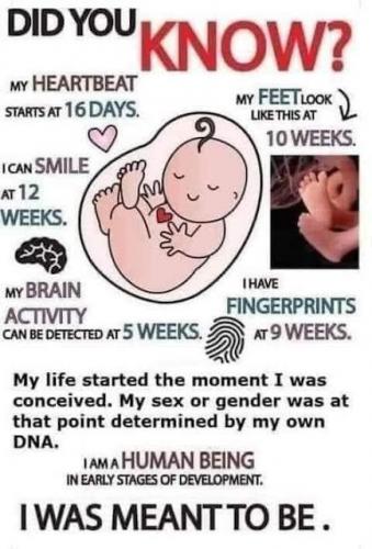 save thebaby