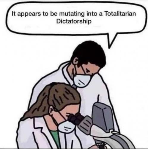 morftototalitarian