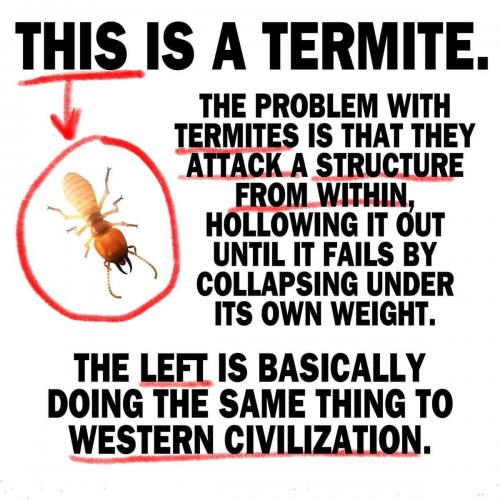 241737154_3456290681307246_5221807622487087925_n