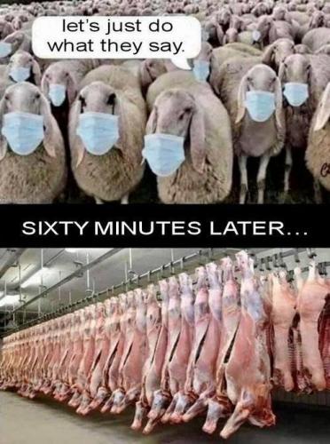 B8284F11-8F5F-4BB6-9AEC-676ECCDE2B3F