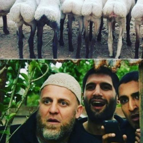 241448083_1005539093592983_4994348550221968623_n