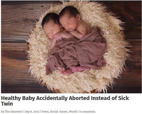 Movavi ScreenShot 001 - Healthy Baby Accidentally Aborted Instead of Sick Twin - The Dissent_ - disntr.com
