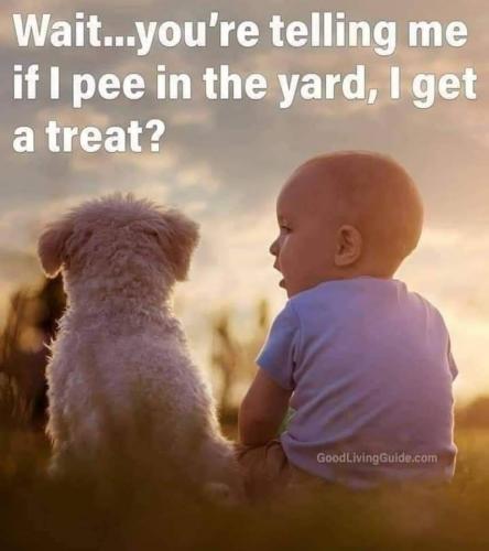 FB_IMG_1632145235812