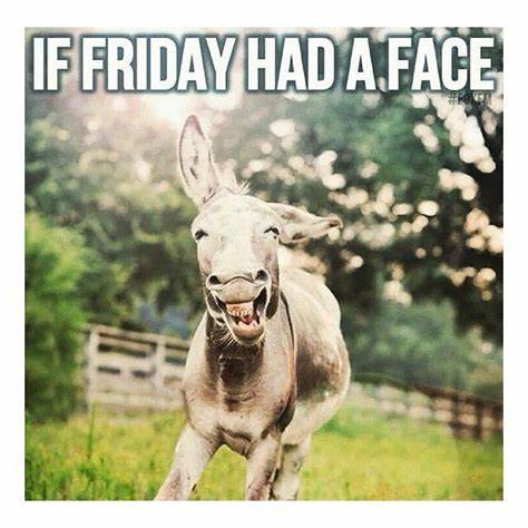 iffridayhadaface