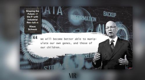 KLAUS SCWAUB   NAZI 9 Genes