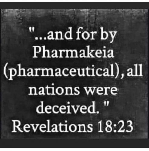 photo_2021-09-13_07-24-07