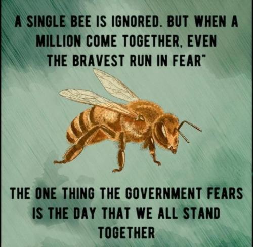 Screenshot_20210902-075559_Wimkin