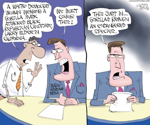 coverage