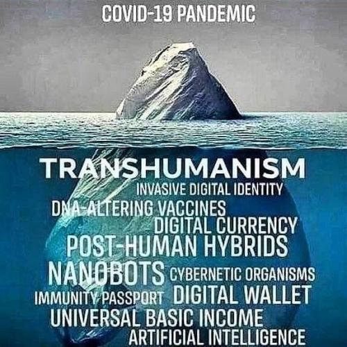 photo_2021-08-28_21-21-57