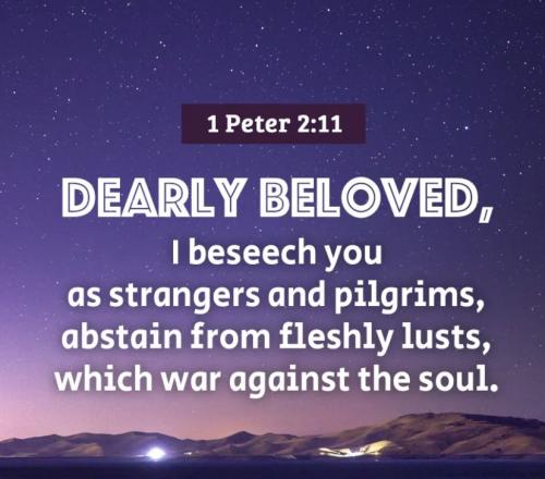 1 Peter 2:11