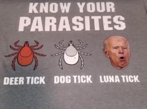 D691B0B0-26C1-4E36-952A-F4D1E2C374BD