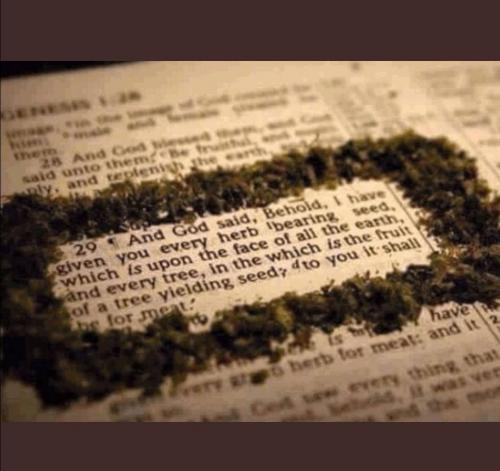 6577E372-54E2-491E-97F5-FE5D9A17BE3C