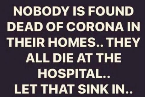 image_1631565706.053