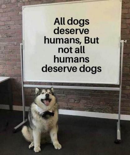 210656080_10220035066287758_3104272083951768983_n