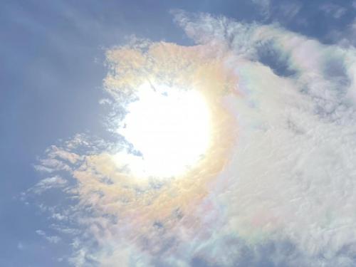 A7332A8A-2749-4509-9223-4E52E9C800C5