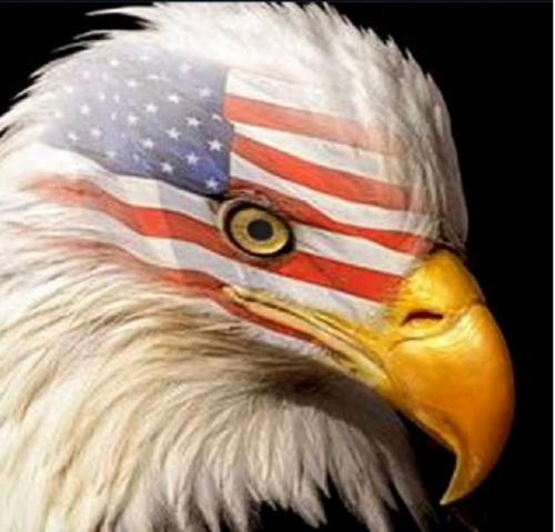 2314DEEB-3C93-42AA-9A53-719FAC0A78D2