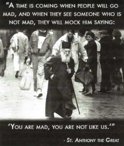 you are mad