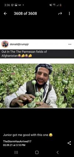 Screenshot_20210903-153607_Telegram