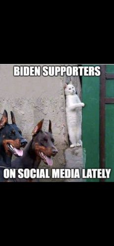 EDB63FB3-FD05-4CEA-A6EF-E91592658CA3