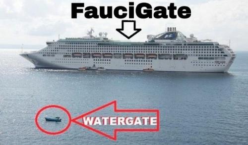 faucigate