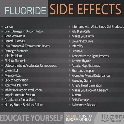 51254E0F-A85C-4A98-AEB6-57461EF07C6F