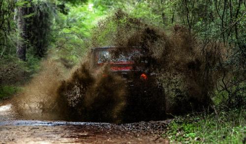 Edit 823 Mud 1 100 PPI