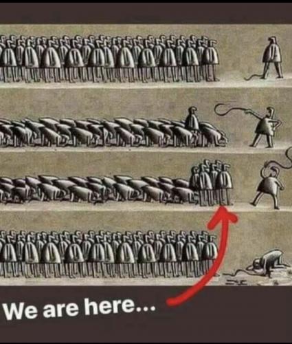 3B4DC29F-53A0-4C86-BB1B-3D6333C439C7