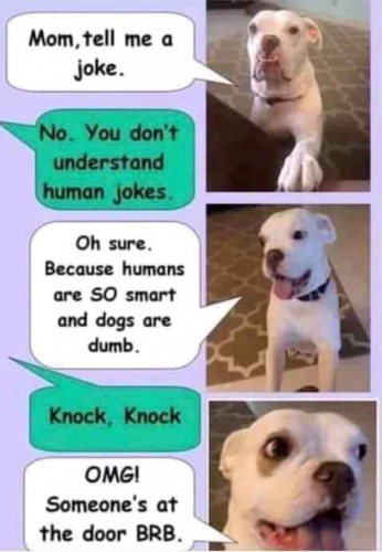 dog-joke