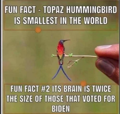 F44EE08C-7D34-492E-A173-47985429533B