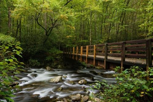 Smoky-Mountains-Bridge-Medium
