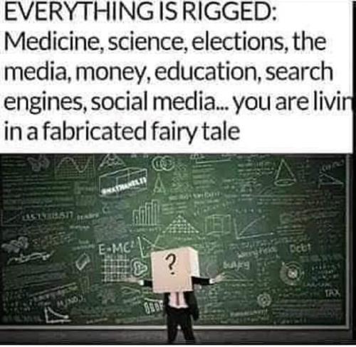 242381382_234160752062521_7741302266636261618_n