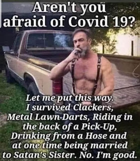 1 (19)