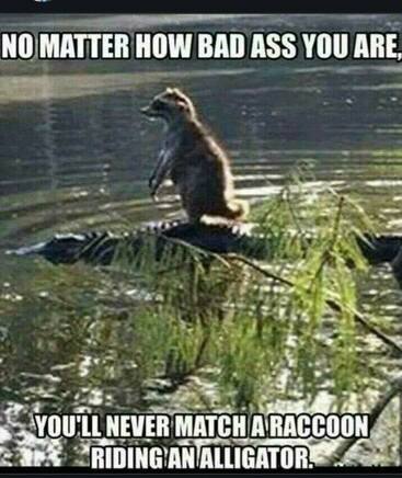 FF5F634B-F18B-43F0-B072-9CD3169D6F8E