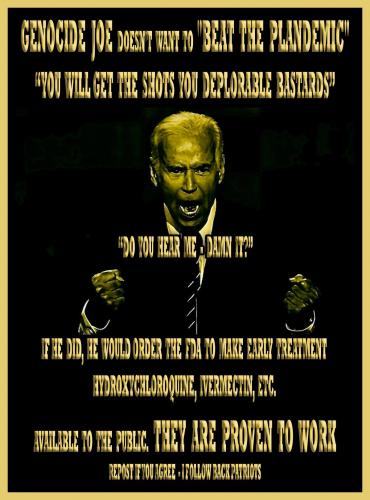 1-1-A-A-A-A-A-A-A-BIDEN-GET-THIS-SOB-OUT-GENOCIDE-JOE-MASKS-3