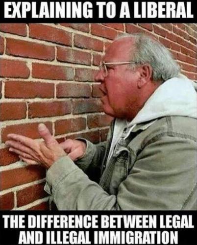explaining immigration
