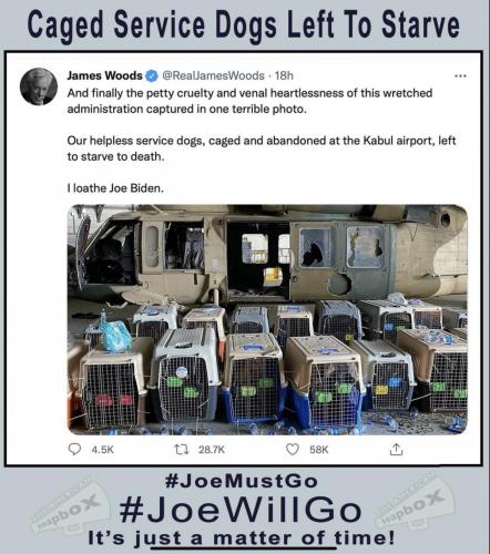 C6C41C74-8D78-4E6D-A88D-277F5CA3DA67