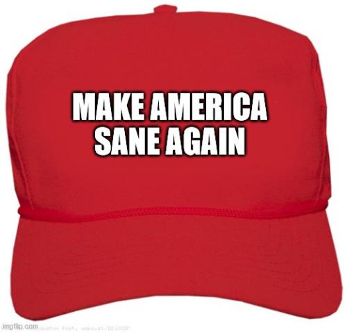 make-america-sane-again