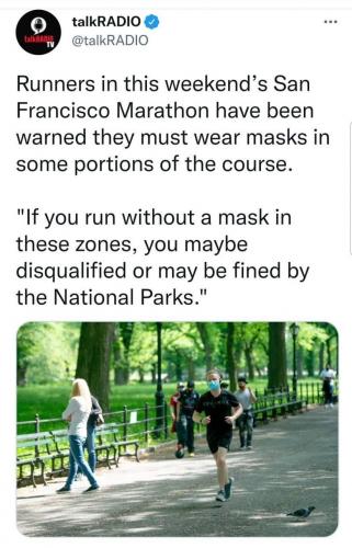 sfstupidity