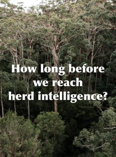 12187BB7-54B6-42C7-8543-49D6C3CBA76C